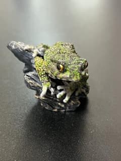 リアルすぎるカエル フィギュアのサムネイル