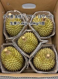 送料無料 タイ産 ドリアン 1.4~1.9kg S号 金枕 生ドリアン 新鮮果物