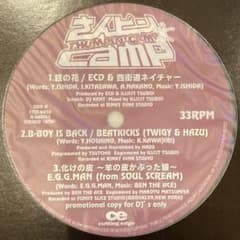 プロモオンリー「さんピンCAMP」インスト盤 レコード プロモオンリー「さんピンCAMP」インスト盤 レコード - メルカリ