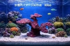 【特価品】人工ライブロック　RR60 36×24×28 最終特価品】人工ライブロック RR60 36×24×28 - メルカリ