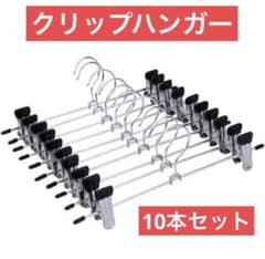 クリップハンガー 10本セット ステンレス クリップ スカート パンツ ズボン