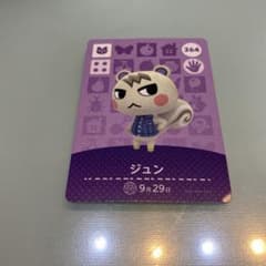 ジュンのサムネイル