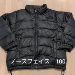 ノースフェイス　ダウン　100のサムネイル