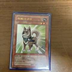 柴戦士タロのサムネイル