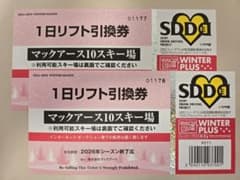 マックアース10スキー場 1日リフト引換券 (2枚) - メルカリ