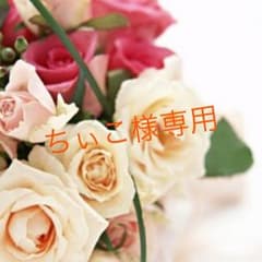 ちぃこ様専用ページのサムネイル
