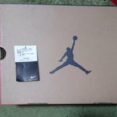 NIKE AIR JORDAN 12 フルゲームのサムネイル
