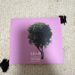 TETORA 13ヶ月 CD アルバムのサムネイル
