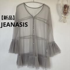 【新品未使用品】JEANASISジーナシス　チュールプリーツ2wayトップス　F
