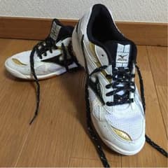 さっちゃん様専用★バレーシューズ MIZUNOのサムネイル