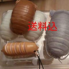【送料込】グソクムシガチャセットのサムネイル