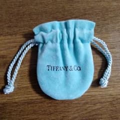TIFFANY ティファニー巾着袋のサムネイル