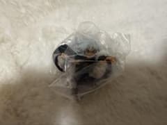 バスダードガチャ