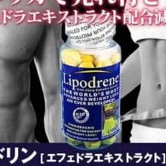リポドリン  42錠のサムネイル