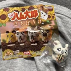 【即購入⭕️】ハム太郎 まちぼうけ こうしくん ガチャのサムネイル