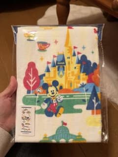 ディズニーリゾート　フェイスタオルのサムネイル