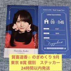 m48209652252_1.jpg?1757043227