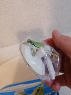 キノコとアマガエル　ガチャ　キーホルダーのサムネイル