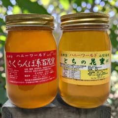 希少　生はちみつ　菩提樹系百花蜜　さくらんぼ系百花蜜　各600g2本セット 希少 さくらんぼ百 とち蜜 生はちみつ 600g2本セット 非加熱・生