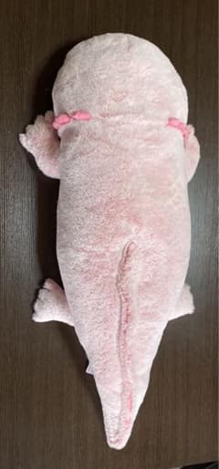 ウーパールーパー 超BIGぬいぐるみのサムネイル