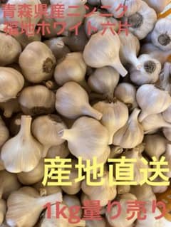農家が作った青森県産福地ホワイト　にんにく　ニンニク　小さめサイズのサムネイル