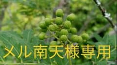 メル南天様専用です。実山椒300gのサムネイル