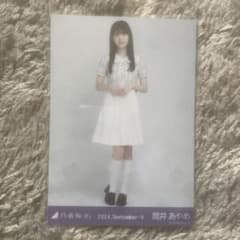 m48224554635_1.jpg?1730271378