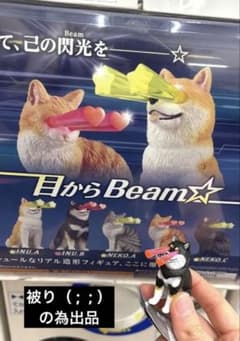 未開封　目からビームガチャ　黒柴のサムネイル
