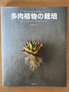 多肉植物の栽培のサムネイル