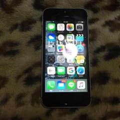 iPhone5sのサムネイル