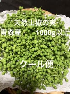 天然山椒の実500g以上 採りたて 青森産 ☆柔らかいです♪ クール便