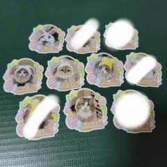 猫カフェMOCHA 岡山 イースターステッカーのサムネイル