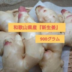 和歌山県産『新生姜』900グラムのサムネイル