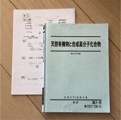 天然有機物と合成高分子化合物 駿台のサムネイル