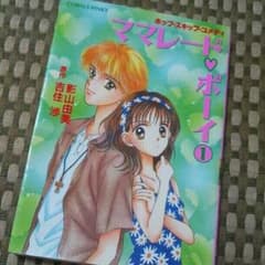 ママレードボーイ 小説のサムネイル