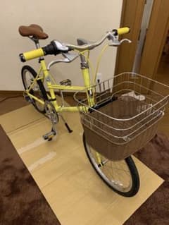 Minivelo BRUNO Mixte 20-inch