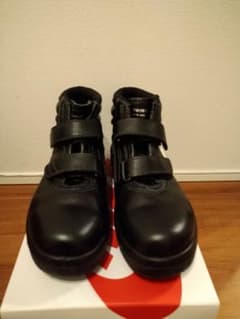 m48250001863_1.jpg?1749631926