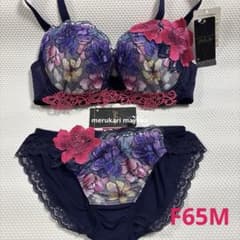 【新品】 サルート 83G F65 / M / M ※3点セット サルート 63group ブラF65 ソングM - メルカリ