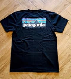 patagonia パタゴニア Tシャツ ブラックのサムネイル