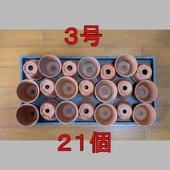 植木鉢 3号 21個 素焼き鉢 実生鉢 中古品 0517 - メルカリ
