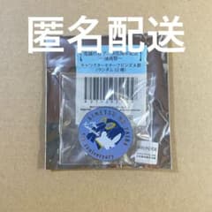 m48273623202_1.jpg?1755619290