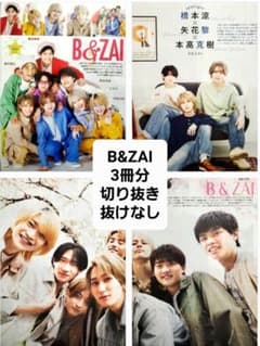 B&ZAI 切り抜き 3冊分16ページ 抜けなし TVfan TVnaviのサムネイル