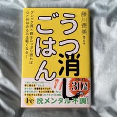 うつ消しごはん 藤川徳美のサムネイル