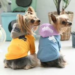 じゃにゅさん専用⭐︎のサムネイル