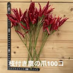 枝付き鷹の爪100コ ドライフラワー 唐辛子 - メルカリ