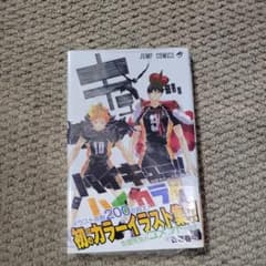ハイキュー!! 公式カラーイラスト集 ハイカラ!!のサムネイル