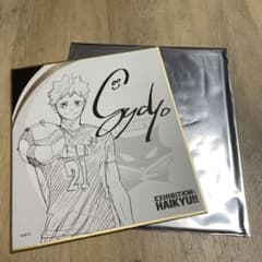 日向翔陽 色紙コレクションのサムネイル
