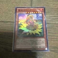 遊戯王 姫葵マリーナのサムネイル