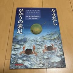 やまなし ひかりの素足 宮沢賢治童話集 ますむらひろしのサムネイル