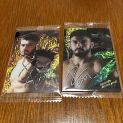 RIZIN ロベルト・サトシ・ソウザ カード 2枚セットのサムネイル